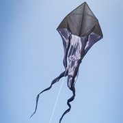 In the Breeze Black 77" Wave Delta Kite 3393 View 4