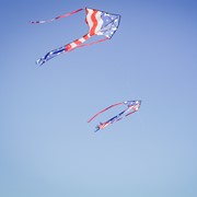 In the Breeze Patriotic 46" Fly-Hi Kite 3396 View 4
