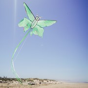 In the Breeze Luna Moth Kite 3398 View 4
