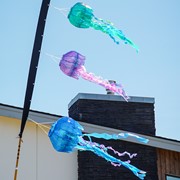 In the Breeze 50-inch Blue Iridescent Jellyfish 3D Windsock 5259 View 4