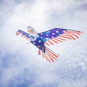 In the Breeze 70" Patriotic Bald Eagle Kite 3508 View 4