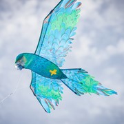 In the Breeze 3D Blue Parrot Kite 3509 View 4