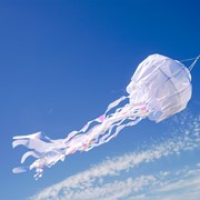 In the Breeze 50-inch White Iridescent Jellyfish 3D Windsock 5260 View 4
