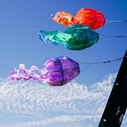 In the Breeze 15" Orange Iridescent Jellyfish 3D Windsock 5262 View 4