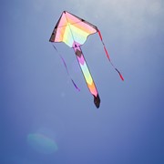 In the Breeze Neon Fiesta 46" Fly-Hi Kite 3512 View 4