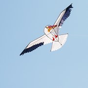 In the Breeze 70" Pelican Kite 3528 View 4