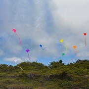 In the Breeze Red Colorfly 30" Diamond Kite 2988 View 5