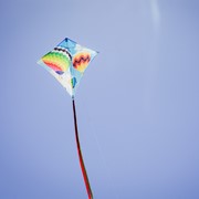 In the Breeze Hot Air Balloon 30" Diamond Kite (Optimized for Shipping) 3260 View 5