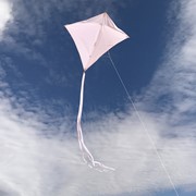 In the Breeze Coconut Colorfly 30" Diamond Kite (Optimized for Shipping) 3325 View 5