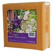 In the Breeze Purple 5-Point Star Hanging Tealight Lantern 9219 View 4
