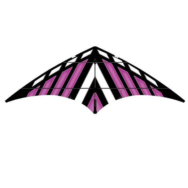 X-Kites & WindNSun Purple DC Sport 70 Kite X-72462
