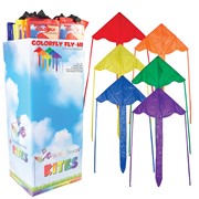 Colorfly Fly-Hi Kite 24 PC Display