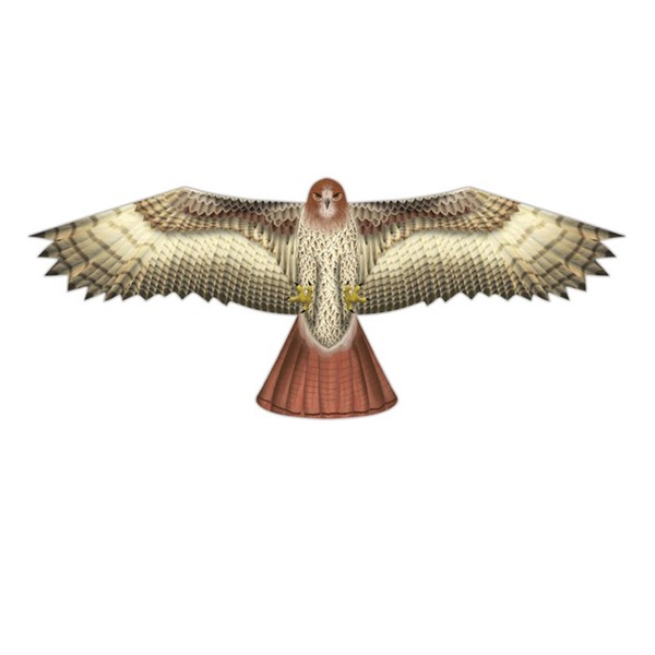 View 3D Supersize Hawk
