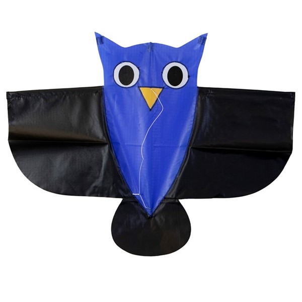 View Flying Wings Blue Kiddy Owl Kite